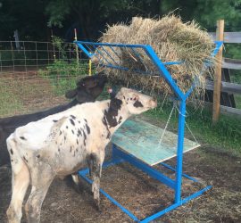 Square Hay Bale Feeder